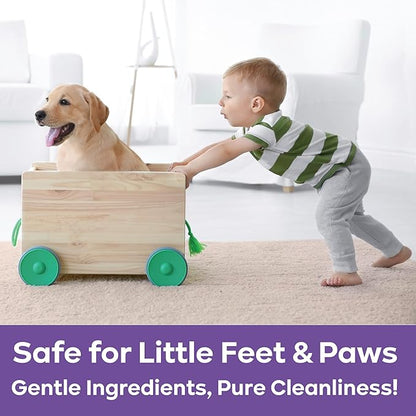 PURPUR Carpet Freshener & Deodorizer Powder | Pet Fresh Odor Eliminator for Carpets, Rugs, and Upholstery | Safe for Pets & Kids | Natural Lavender & Orange Scent | Bundle