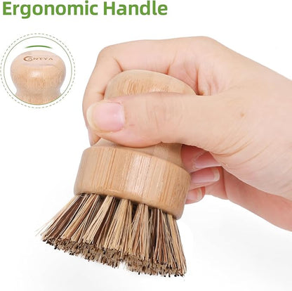 6 Packs Bamboo Dish Brush - Kitchen Scrub Brush, Natural Union Fiber and Tampico Fiber Dish Scrubber for Washing Cast Iron Pan/Pot(Hard Bristle)