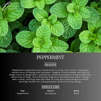 Lapew Room & Linen Spray | Fragrance Mist for Home, Car & Office | Fabric & Air Freshener | Neutralizing Mist | Made in USA | Peppermint