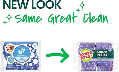 Scotch-Brite Odor Resist Non-Scratch Scrub Sponge, Dishwasher-Safe Kitchen Sponges that Resist Bacterial Odors, Multipurpose Dish Sponge for Gentle Cleaning, 6 Dish Sponges
