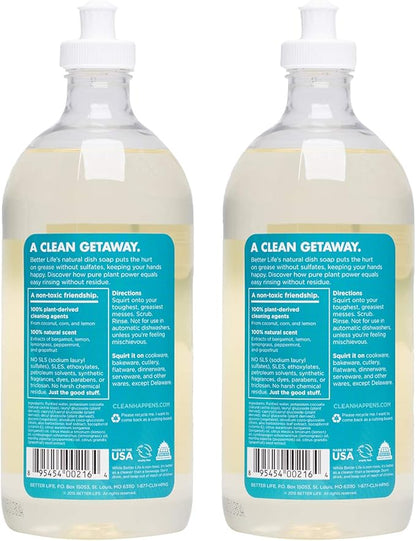 Better Life Dish Soap - Liquid Dishwashing Soap with Vitamin E and Aloe for Home & Kitchen Sink - No Gloves Required Kitchen Soap for Sensitive Skin - 22oz (Pack of 2) Lemon Mint