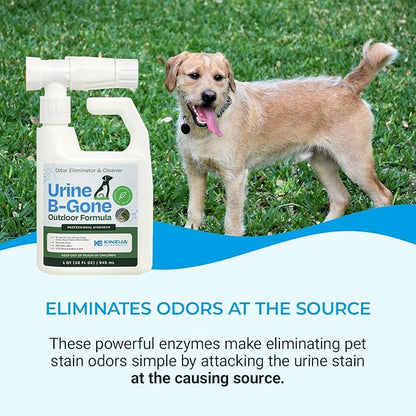 KINZUA ENVIRONMENTAL Urine B-Gone OD Professional Pet Urine Enzyme Cleaner, Pet Yard Odor Eliminator for Artificial Grass, Concrete & More, 32 fl oz
