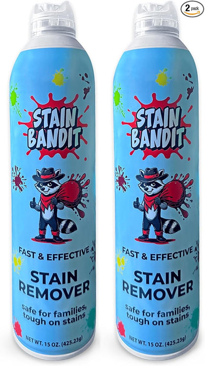 Stain Remover Spray | Non-Toxic Stain Remover Family Safe Formula | Bag-On-Valve 360° Continuous Spray Bottle | Cleaner for Clothes, Upholstery, Carpet & Car Seats 15 Oz, (Pack of 2)