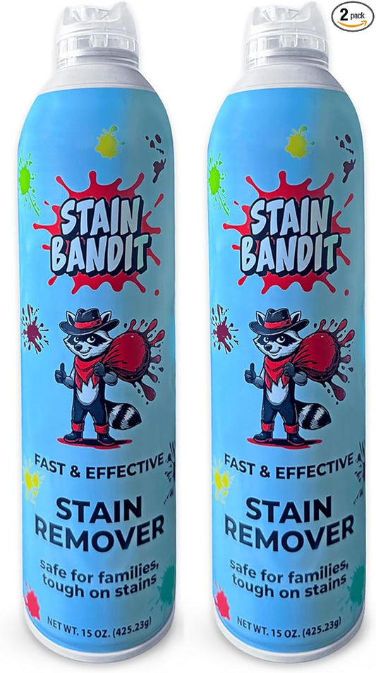 Stain Remover Spray | Non-Toxic Stain Remover Family Safe Formula | Bag-On-Valve 360° Continuous Spray Bottle | Cleaner for Clothes, Upholstery, Carpet & Car Seats 15 Oz, (Pack of 2)