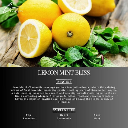 Lapew Lemon Mint Bliss Carpet Deodorizer Powder - Pet Safe Freshener for Vacuuming | Scented Odor Eliminator for Home | 16 oz