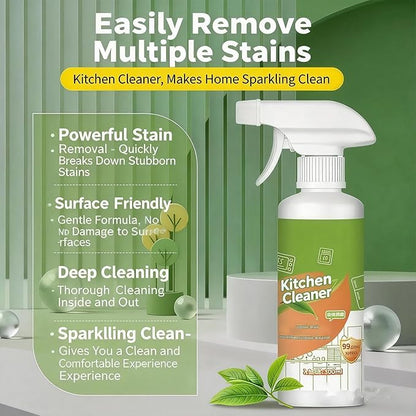 Multi-purpose Household and Kitchen Cleaning Spray, Electrolyzed Ion Kitchen Cleaner Spray, Natural Enzyme Formula to Household Appliances, Multi-purpose Kitchen Grime Remover (300.0, Milliliters)
