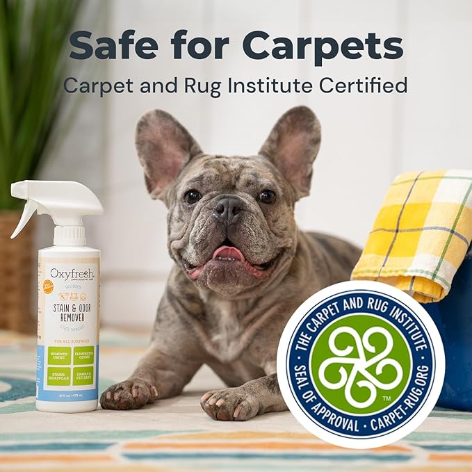 Oxyfresh Pet Stain & Odor Remover, Strong Carpet Stain Remover & Cleaner Spray – Advanced Pet Urine Odor Eliminator for Entire Home - Fast Acting Dog & Cat Urine Neutralizer