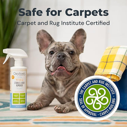 Oxyfresh Pet Stain & Odor Remover, Strong Carpet Stain Remover & Cleaner Spray – Advanced Pet Urine Odor Eliminator for Entire Home - Fast Acting Dog & Cat Urine Neutralizer