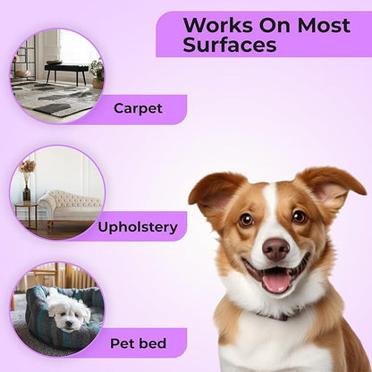 Aromasong Carpet Deodorizer Powder- 2-Pack -100% Natural Lavender Carpet Freshener - Safe For Pets - Carpet Powder For Vacuuming - Effective Pet Odor Eliminator For Strong Odor & Pet Urine - 13 Oz.