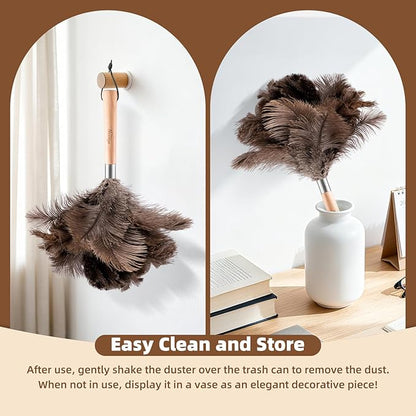 2 Pack Ostrich Feather Dusters with Wooden Handle, 13.5 inch Natural Fluffy Feather Dusters for Dusting Home, Car, Delicate Surfaces, Reusable Soft Cleaning Tools for Ledges, Blinds