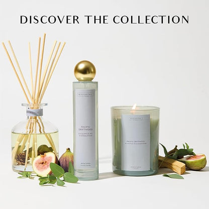 Eucalyptus & Sandalwood Room Spray | Benevolence LA Air & Fabric Freshener for Home & Linen | Refreshing Woodsy Scent, Relaxing Home Fragrance, Gift Idea for Her & Gifts for Women