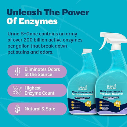 Urine B-Gone, Professional Enzyme Odor Eliminator & Pet Stain Remover, Human, Cat & Dog Urine Cleaner, Effective on Laundry, Carpets & More, Lavender Scent, 32oz, Pack of Two