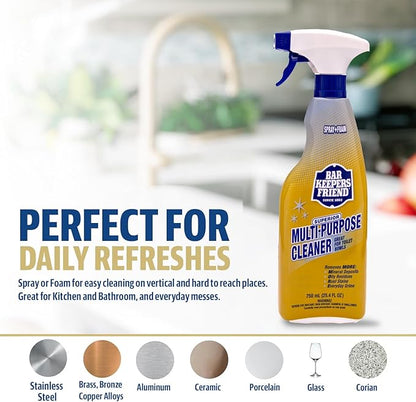 Bar Keepers Friend MORE Spray + Foam Multipurpose Cleaner (2 x 25.4 oz) & Dish Fish Dual Sponge for Bathroom, Kitchen & Outdoor Use on Stainless Steel, Aluminum, Brass, Tile, Ceramic, Porcelain & More