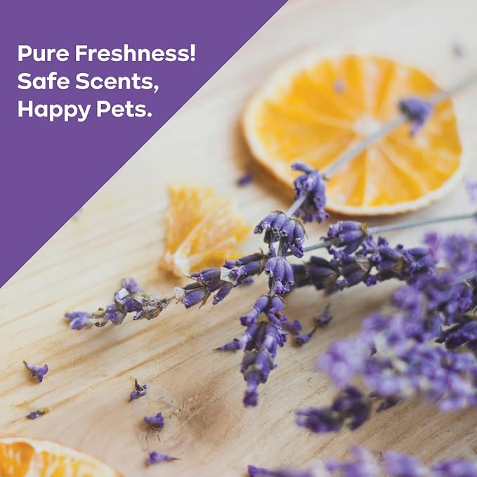 PURPUR Carpet Freshener & Deodorizer Powder | Pet Fresh Odor Eliminator for Carpets, Rugs, and Upholstery | Safe for Pets & Kids | Natural Lavender & Orange Scent | Bundle