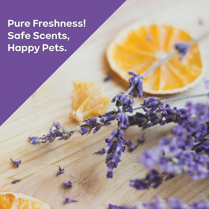 PURPUR Carpet Freshener & Deodorizer Powder | Pet Fresh Odor Eliminator for Carpets, Rugs, and Upholstery | Safe for Pets & Kids | Natural Lavender & Orange Scent | Bundle