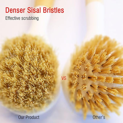 Natural Bristle Dish Brush Set, 1 Wooden Dish Brush and 1 Bamboo Dish Brush with 1 Bamboo Drainer Tray, All Circle Kitchen Scrub Brush for Dishes