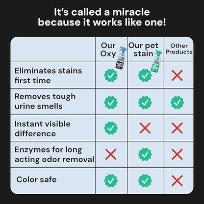 Sunny & Honey Oxy Pet Stain and Odor Eliminator - Oxygen Powered Carpet Cleaner Spray and Upholstery Cleaner - Pet Stain Remover for Rugs, Couches and Mattresses - Unscented (32 fl oz)