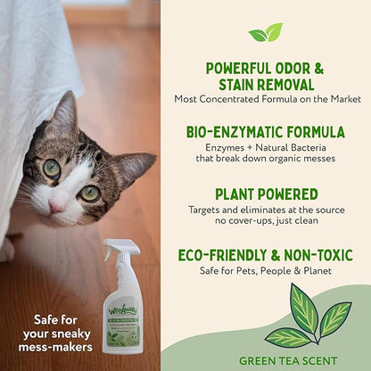 Wee Away X2 Ultra-Concentrated Stain & Strong Odor Eliminator, Enzyme Cleaner, Pet Odor Eliminator for Home - Cat & Kitten Urine Destroyer - Carpet Cleaner Spray, Green Tea, 16 fl oz