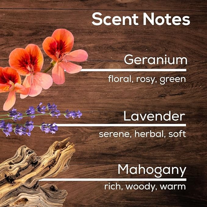 Scent Fill Mahogany Teak Plug in Air Freshener, Scented Oil Refills, 2 Refills + Diffuser