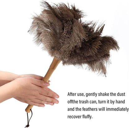 Feather Duster, Ostrich Feather Duster 16 Inch, Fluffy, Reusable, Eco-Friendly Natural Ostrich Feathers with Wooden Handle for Home, Car, and Office Cleaning(16 in)