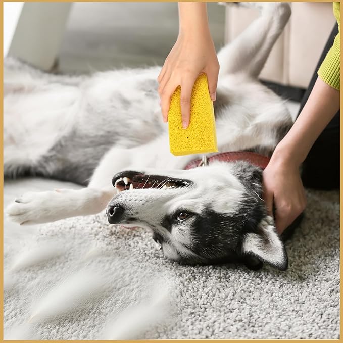 Jingmore 8 Pack Pet Hair Lifter Remover Sponge Cat and Dog and Other Pet Hair from Furniture, Carpet, Bedding and Clothing, Removal Tool, 5.91 x 2.76 x 1.57 Inches