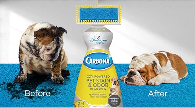 Carbona 2 in 1 Oxy-powered Pet Stain