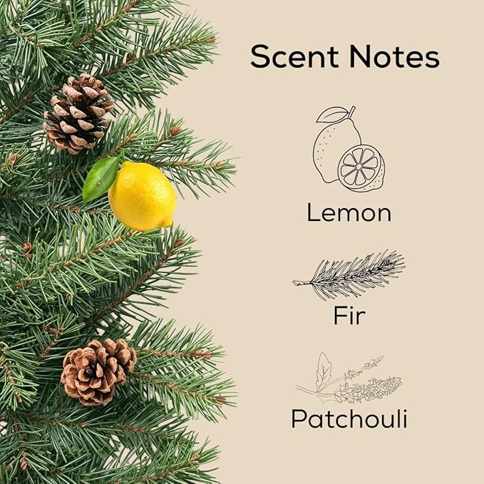 Scent Fill Fraser Fir & Balsam Pine Plug in Air Freshener, Scented Oil Refills, 2 Refills + Diffuser