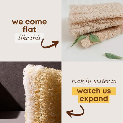 Natural Loofah Sponge (Pack 4) - Exfoliating Body for Bath or Dish Scrubber for Kitchen - 100% Biodegradable Compostable Zero Waste Dishwashing Scouring Pad