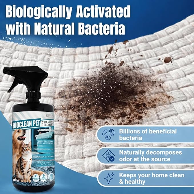 Bioclean Pet Carpet Cleaner & Deodorizer – Eliminates Pet Urine Smell, Stain & Odor Remover, No Residue, Made in USA – 32oz