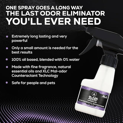 Blaze Away Commercial Air Freshener & Odor Eliminator for Strong Odor - Industrial-Grade Room Spray & Room Deodorizer for Home, Car, Smoke & Pet Odors - Long-Lasting Odor Absorber, Room Fresheners