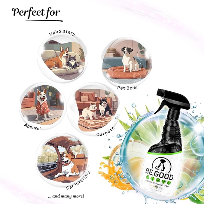 Pet Odor Eliminator Spray for Dog & Cat Urine – Powerful Odor Remover for Carpet, Couch, Upholstery & Car – Natural Non-Toxic, Long Lasting Fresh Scent – 16oz (Citrus Agave)
