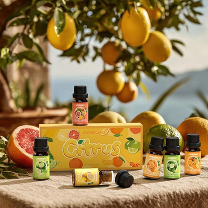 ARVIDSSON Citrus Essential Oils Set, Natural Fruit Essential Oil for Diffuser, Candle Making - Grapefruit, Bergamot, Sweet Orange, Lemon, Lime, Tangerine, Citrusy Scented Oils for Home