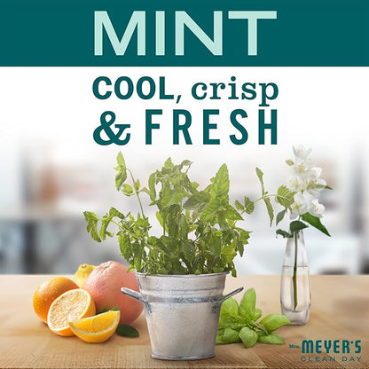 MRS. MEYER'S CLEAN DAY Liquid Dish Soap, Biodegradable Formula, Limited Edition Mint, 16 fl. oz - Pack of 6