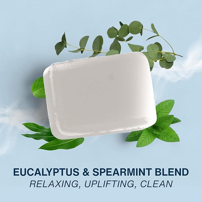 Water Scents Solid Air Freshener Bar – Eucalyptus & Spearmint Scent – Long-Lasting, Natural Odor Eliminator | Handmade & Vegan
