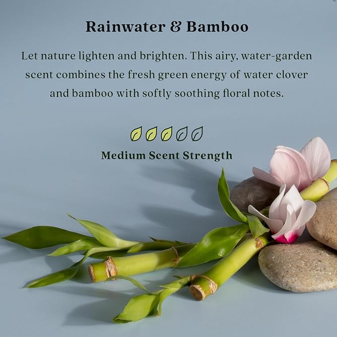 Enviroscent Non-Toxic Air Freshener Paper Refills - Compatible with Enviroscent Plug Hub® Warmer Kit - Home Fragrance Lasts Up to 90 Days - Rainwater & Bamboo Scent (Pack of 2)