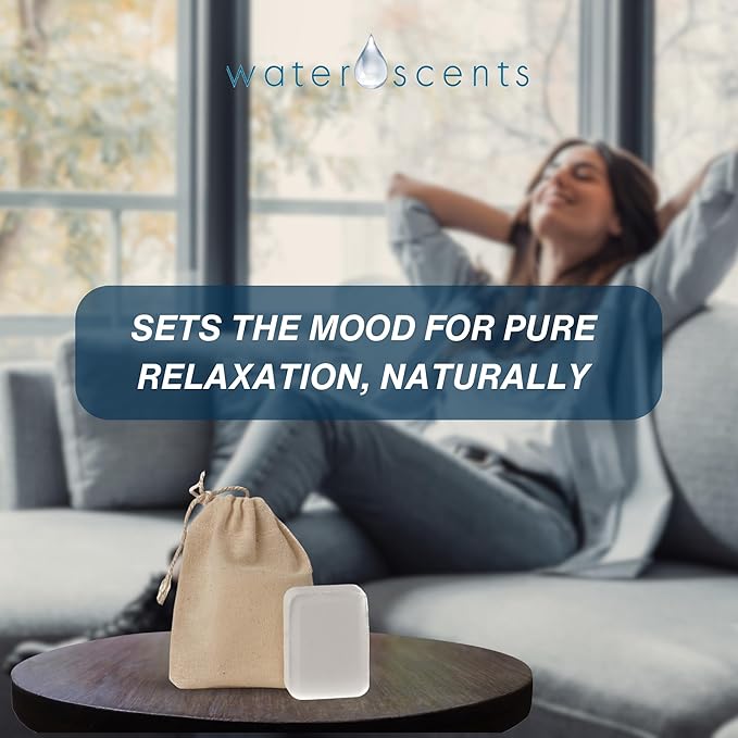 Water Scents Solid Air Freshener Bar – Eucalyptus & Spearmint Scent – Long-Lasting, Natural Odor Eliminator | Handmade & Vegan