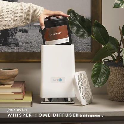 ScentAir Whisper Home Monthly Plug-in Refill, Fragrance Cartridge for Home and Office, Amazon Exclusive, Cedarwood