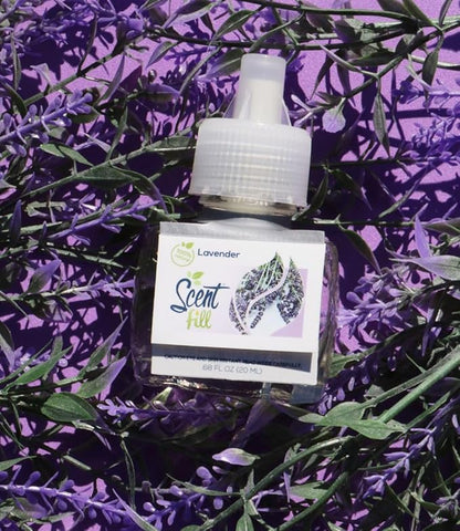 Scent Fill 100% Natural Lavender Plug in Air Freshener, Scented Oil Refills, 2 Refills + Diffuser