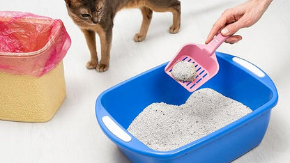 Ultimate Enzyme+ Cleaner – Professional-Grade Odor and Stain Eliminator for Pet Smells, Basements, Garages, and More – Fragrance-Free, Powerful Enzyme Formula for Home Use (32 oz)