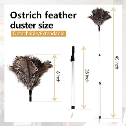 Extendable Ostrich Feather Duster 26-49 Inch, Natural Cleaning Duster with Aluminum Extension Pole Reusable for High Ceilings, Fans, Blinds, Furniture, Interior & Roof Dusting