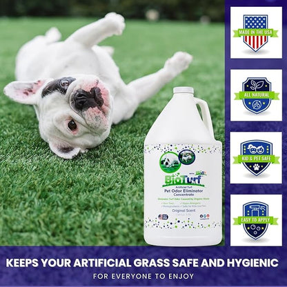 BioTurf BioS+ Artificial Turf Grass Concentrate Enzyme Cleaner and Pet Odor Eliminator - Removes Odors and Sanitizes - Organic, Safe, Environmentally Responsible (1 Gallon) - Original Scent