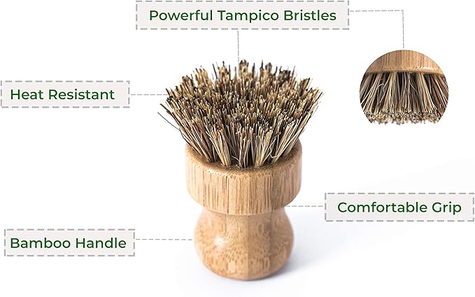 ECOLULU Bamboo Dish Brush Set & Wood Bottle Brush for Wide Mouth Bottles, Cups and Jars, (4 units total), Wooden Dish Brush, Biodegradable, Eco Friendly Products