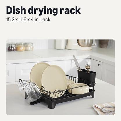 Amazon Basics Stainless Steel Dish Drying Rack, 15.2 x 11.6 x 4 in., Black