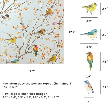 DKTIE Privacy Window Film Decorative with Installation Tools, Frosted Bird Glass Film Static Cling Opaque Window Stickers for Door Glass Bathroom Kids Study Room (S3533, 35.4in X 78.7in)