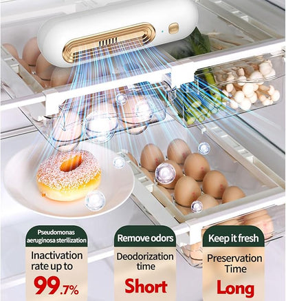 Fridge Deodorizer Odor Eliminator – Powerful Odor Eliminator & Freshness Preserver For Refrigerator, No Filter Replacement–Odor Control For Kitchen, Freezer & Food Storage (Silver)