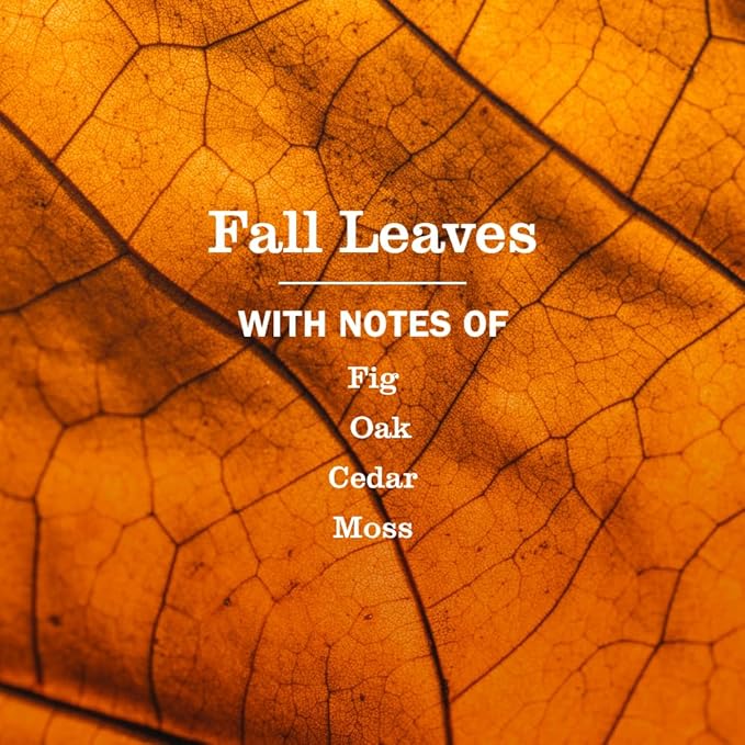 Mrs. MEYER'S CLEAN DAY Multi-Surface Everyday Cleaner, Fall Leaves Scent, 16 Fl Oz Bottle - 3 Pack