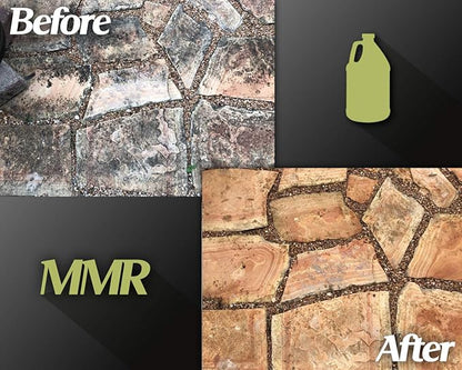 Bad Axe MMR Instant Mold Stain and Mildew Stain Remover - Professional Strength, Contractor Grade Cleaning Solution, Professional Quality Formula, Odor Removal, 1 Gallon (4)