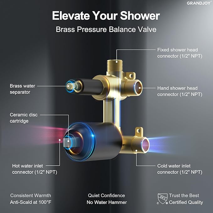 2-Spray Pattern 6 in.Square Shower head with Single Handle Shower Handheld Faucet 2.5 GPM in Matte Black