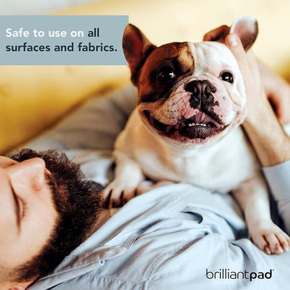 BrilliantPad TidyShot Pet Stain Remover & Odor Eliminator Spray | Natural Enzyme Cleaner, Cleans Cat & Dog Urine, Safe on Carpet & All Surfaces in Home for Pee | Advanced Professional Strength | 4 oz