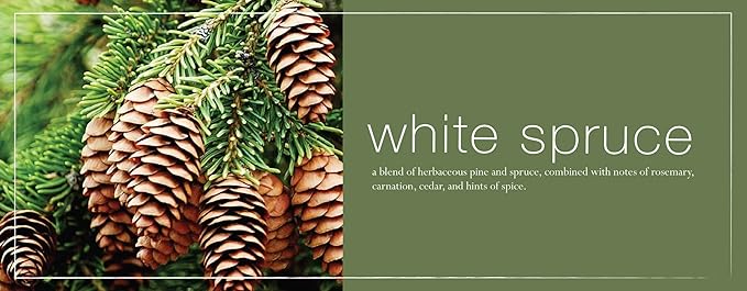 Mangiacotti Kitchen and Bath Surface Cleaner Plant-Based Concentrated Liquid Household Cleanser, 14-Ounce, White Spruce